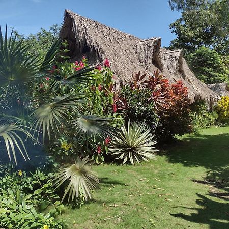 Villa Sexto Sentido Cabanas & Pan Frances à Palomino Extérieur photo